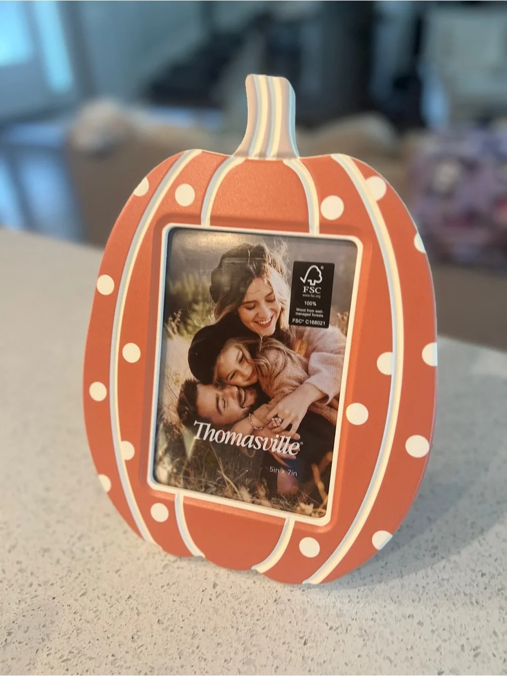 Autumn Pumpkin Photo Frame Set in Orange and White - Homesville